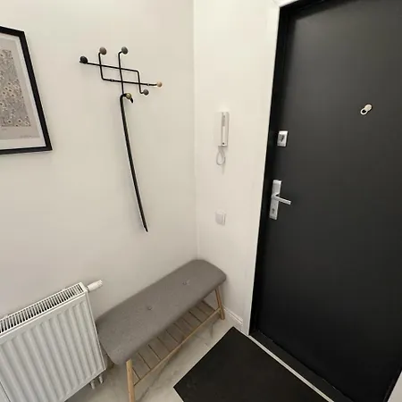 Nowoczesna Kawalerka W Zabytkowej Kamienicy W Centrum Miasta