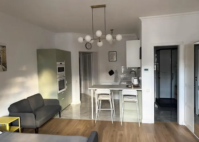 Nowoczesna Kawalerka W Zabytkowej Kamienicy W Centrum Miasta 아파트 *